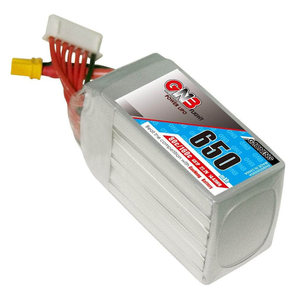 GNB Gaoneng Square Type 650mAh 6S